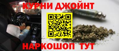 крисы Ставрополь