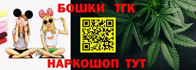 крисы Ставрополь