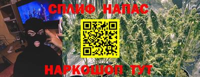 крисы Ставрополь