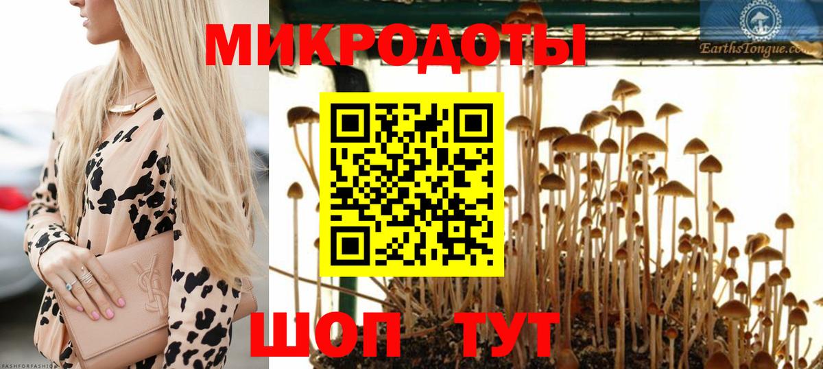 Галлюциногенные грибы Magic Shrooms Малоярославец