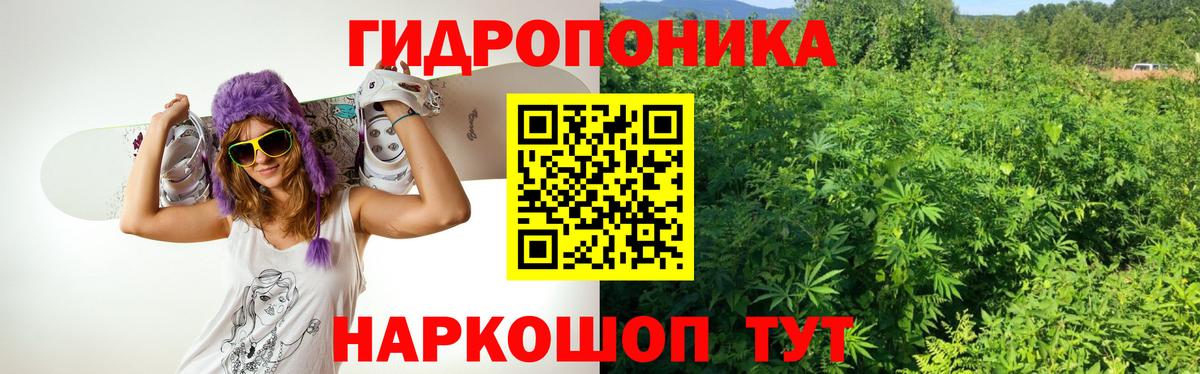 МАРИХУАНА ГИДРОПОН Малоярославец